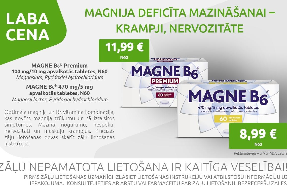 magne b6