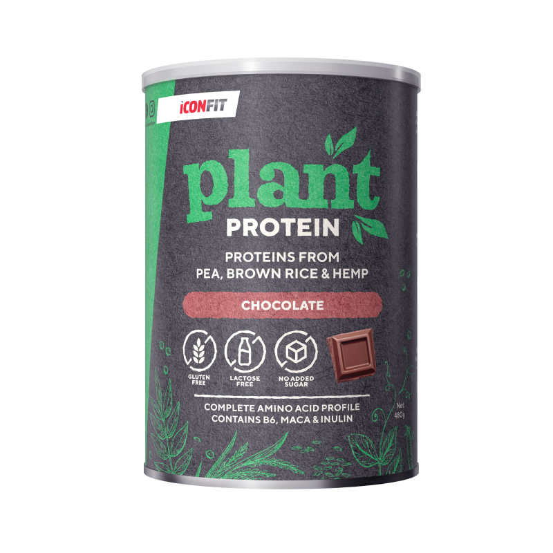 ICONFIT Augu Proteīns šokolādes, 480 g